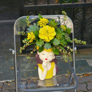 Hoa sen đá cô gái