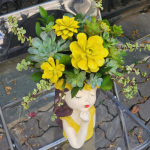 Hoa sen đá cô gái