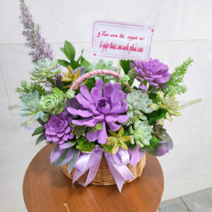 Giỏ hoa sen đá nhiều màu