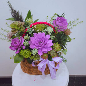 Giỏ hoa sen đá tông tím